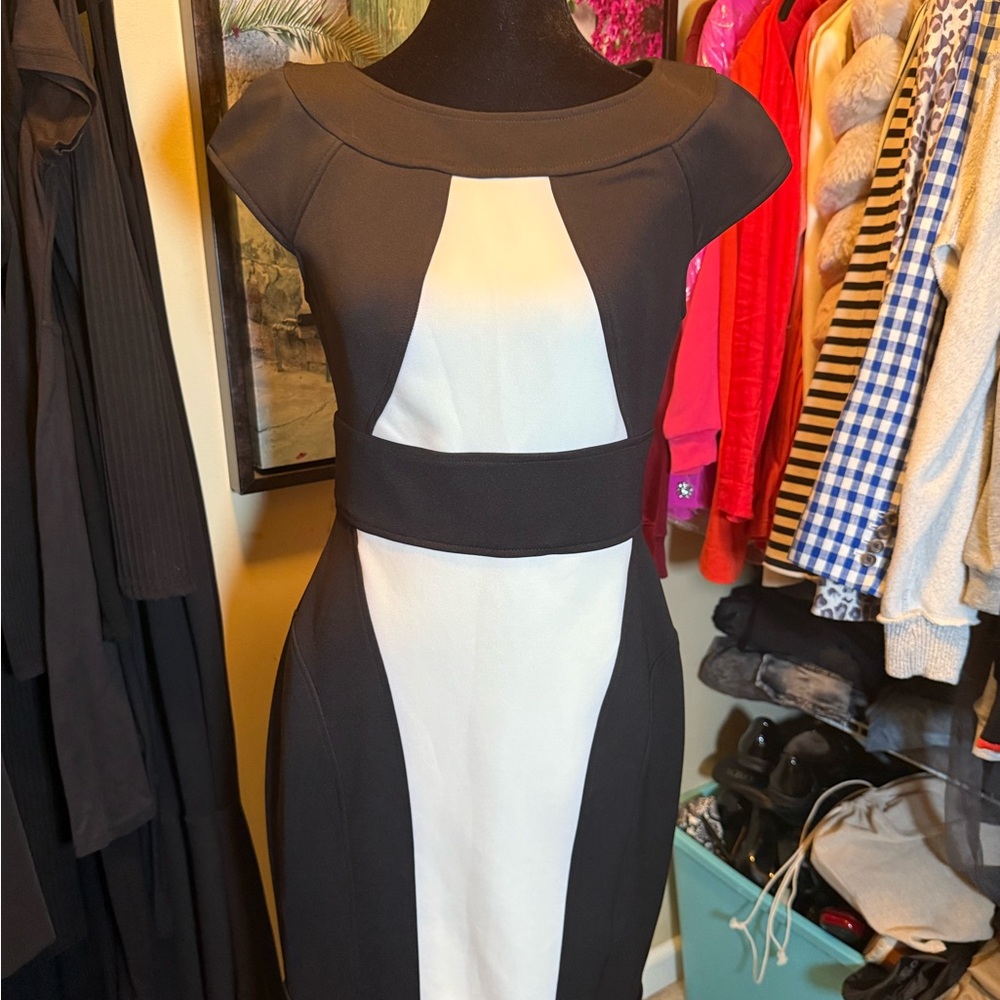 Maggy London Elegant Black and Cream Midi Dress